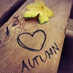 Autumn *