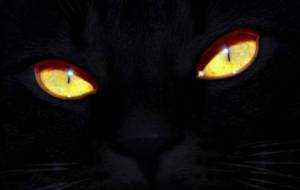 Оксана Плитова