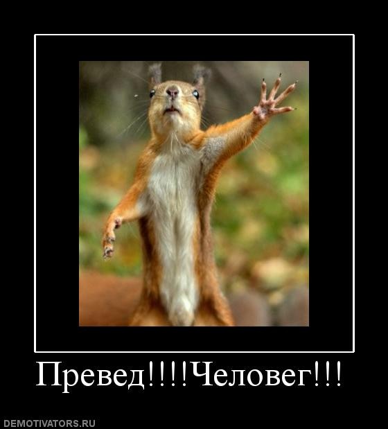 Илья Файзулин