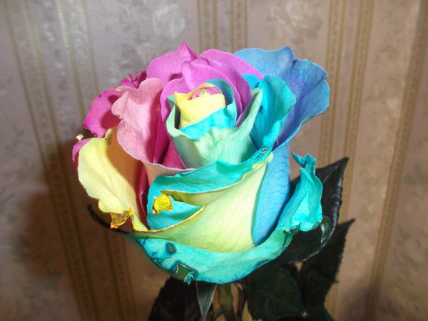 Мария Бородина