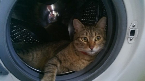 Рита Мальцева