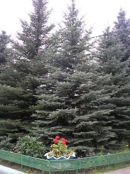 Мадоу 473 Центр