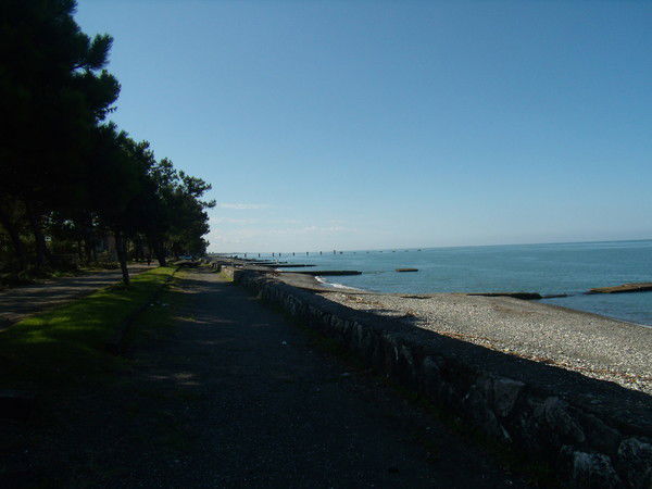 Наталья Гонта