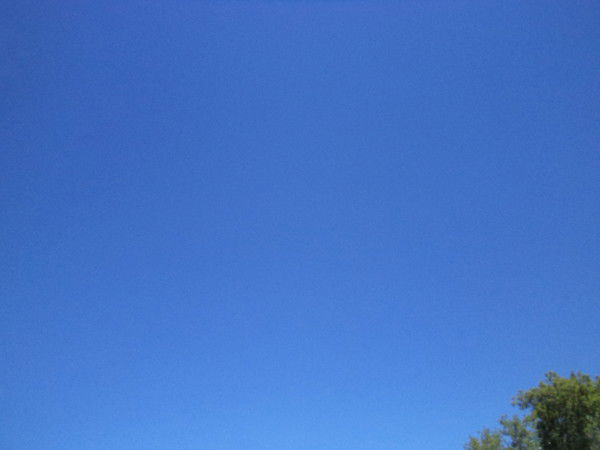 Валентина Гуськова