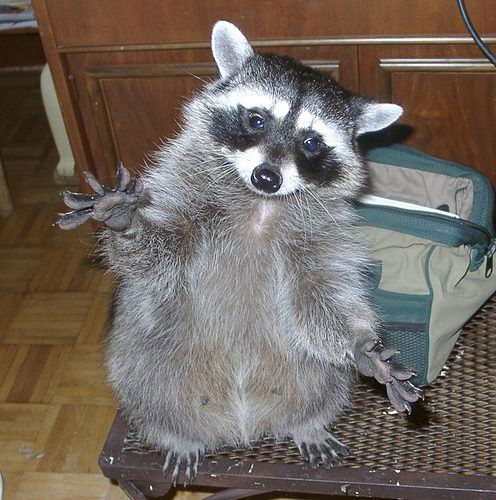 Денис Щугарев