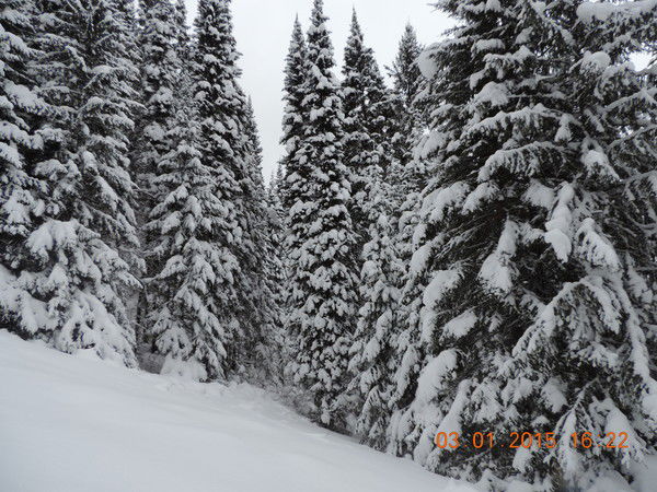 Татьяна Селина