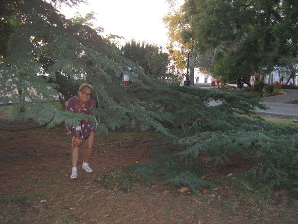 Роза Баязитова