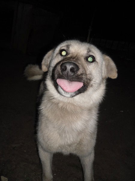 Кристина Щукина