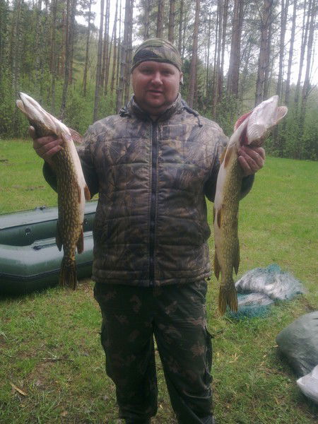 Андрей Волгин