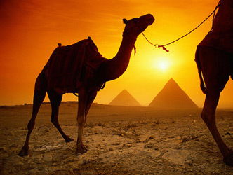 Севар Мухамедшарипова