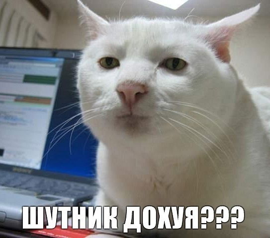 Артём Зверев