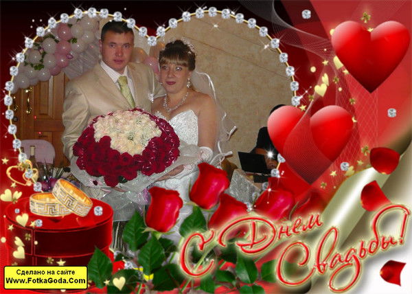 Дмитрий Новицкий