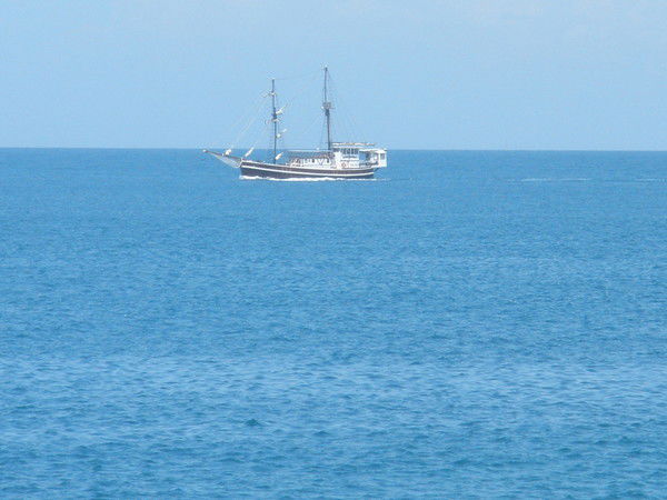 Арина Сурикова