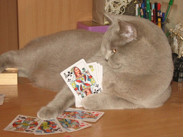 Олег Рогонов