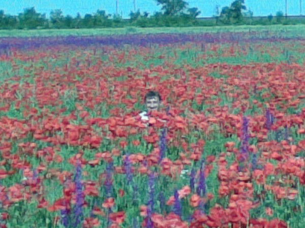 Андрей Руденко