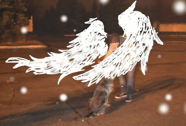 Никита Ланцута