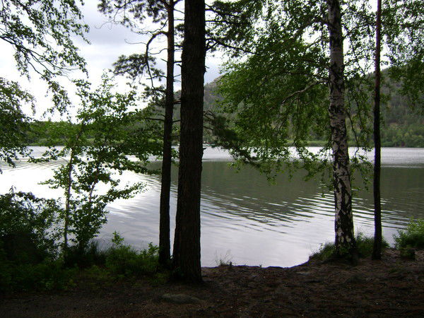 Арыстан Калмаханов