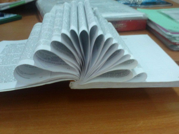 Пернеева Айжамал