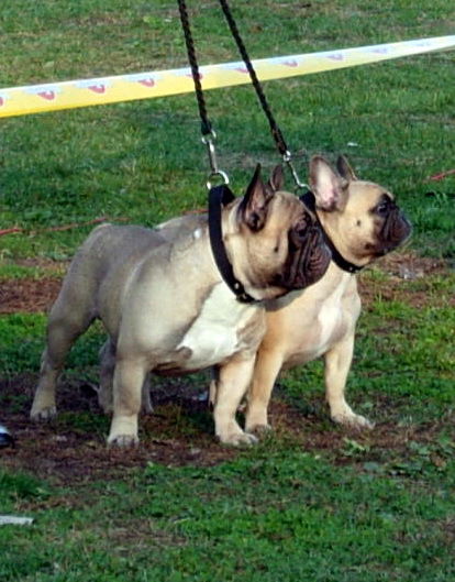 Виктория Слуцкая