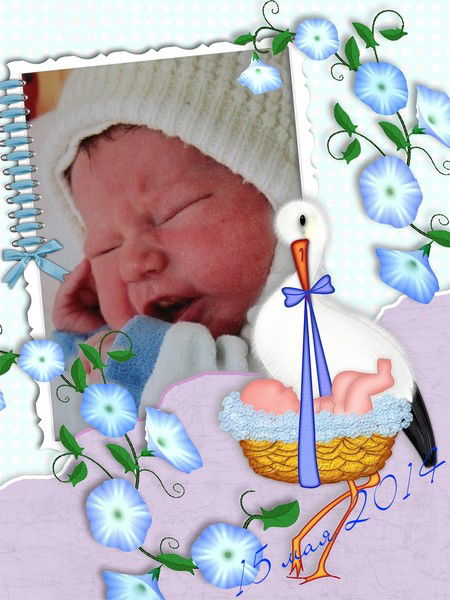 Наталья Комарова