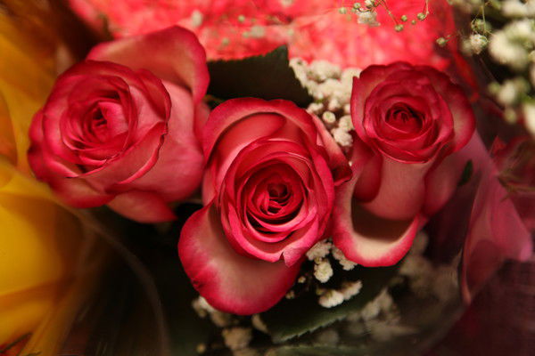 Елена Исковских