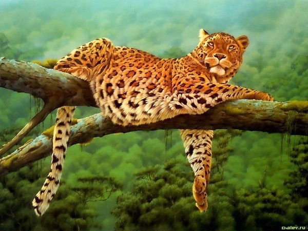 Одисея Одисея