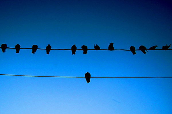 Тема Сергеевич