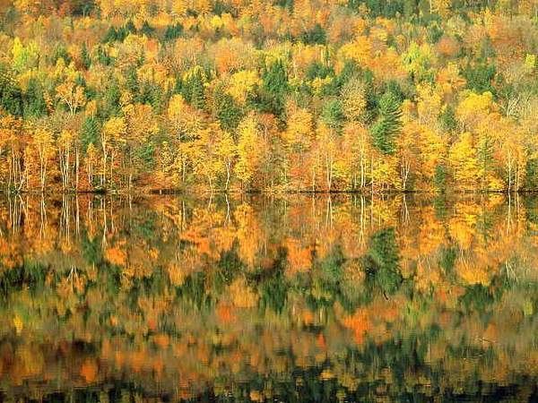 Сирениковская Школа