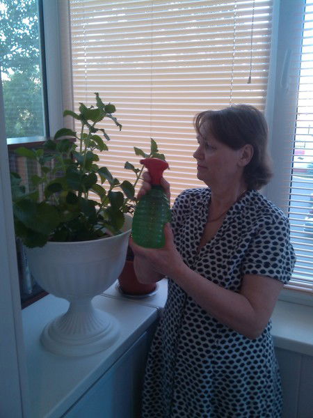 Наташа Жидкова