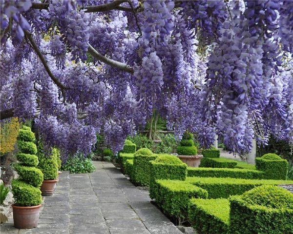 Ирина Щетинина