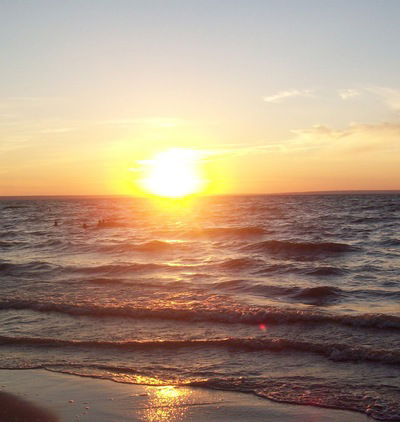 Эльза Камаева