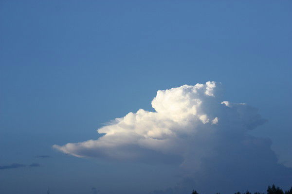 Ольга Дербенева