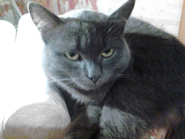 Наталия Огородникова