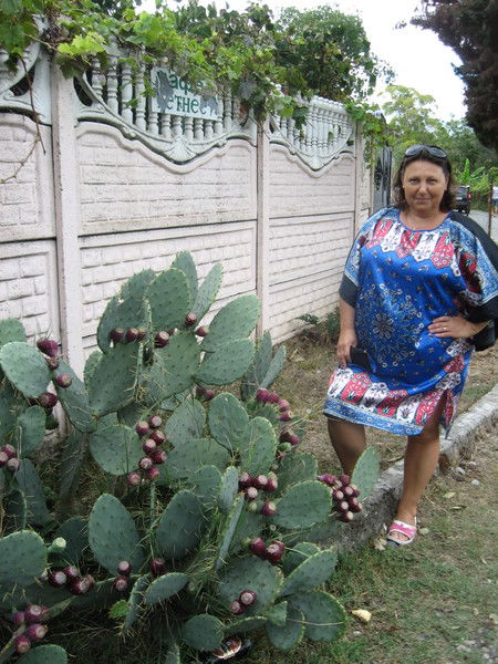 Елена Шарина(Соколова)