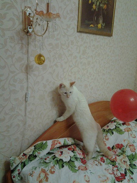 Ирина Неизвестно