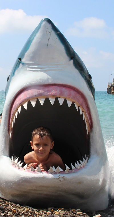 Никита Афанасенко