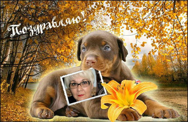 Раиса Стеганцева