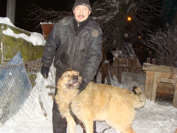 Николай Лобанов