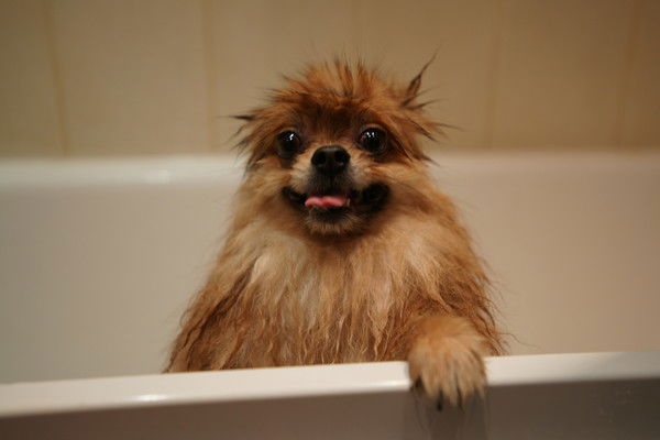 Алексей Воинов