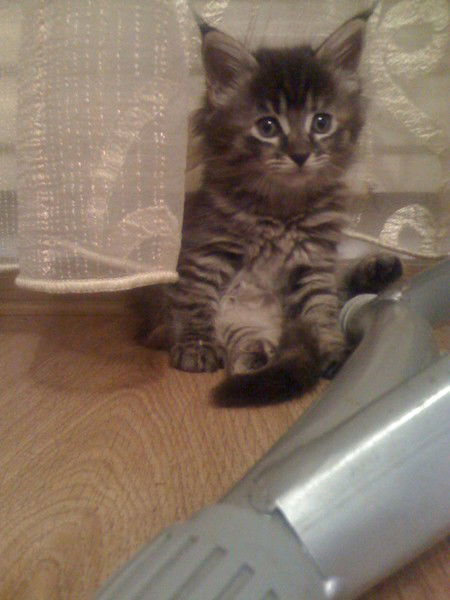 Мария Андреева