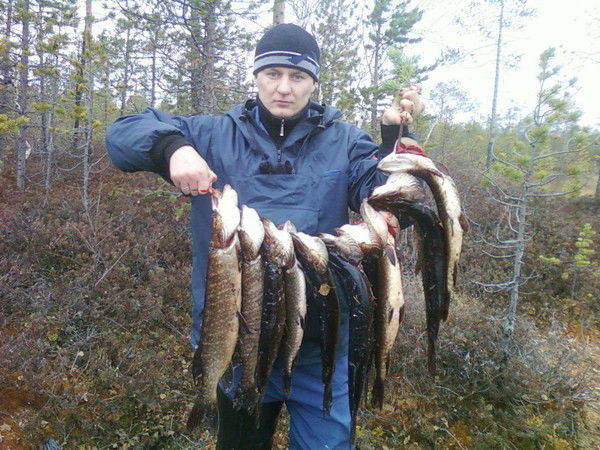 Алексей Ильющенко