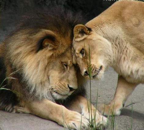 Гаухар Мухамбетова