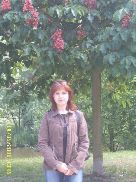 Наталья Шмер