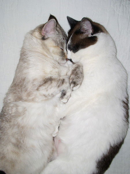 Ковалева Ольга