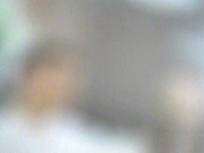 Владимир Ильич