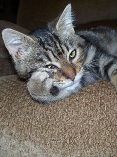 Валерий Еремеев