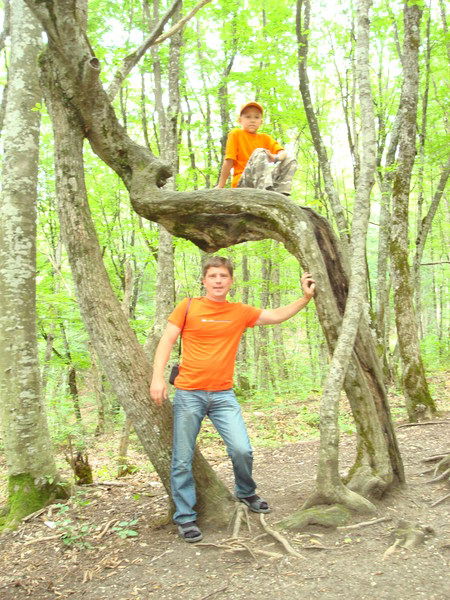 Арсений Виноградов