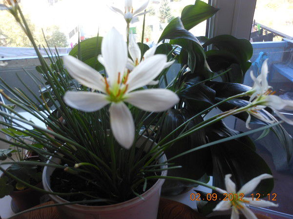 Ветеринарная Станция Майского Района Майская Ветстанция