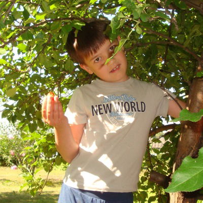 Николай Андреевских