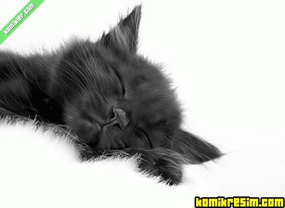 Асем Жумабаева